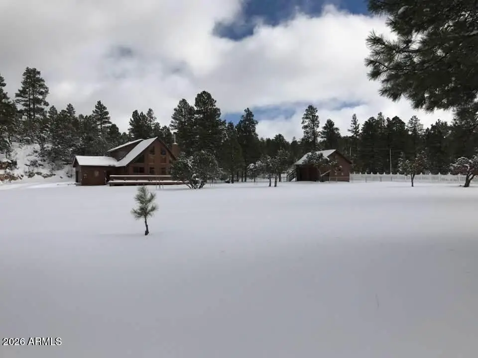 1884 E Artist Draw Road, Heber, AZ 85928 - #1