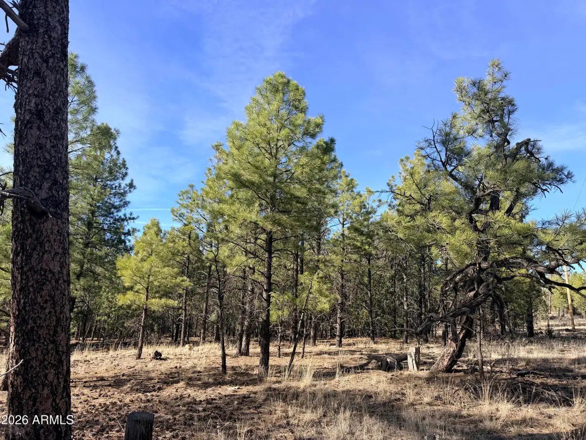 2397 Wigeon Way #6, Happy Jack, AZ 86024 - #1