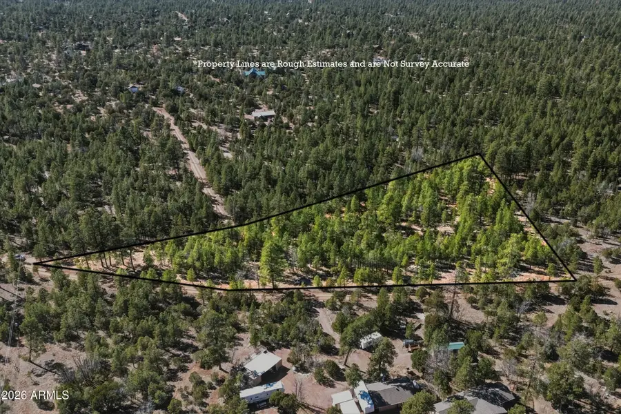 2397 Wigeon Way #6, Happy Jack, AZ 86024 - #2