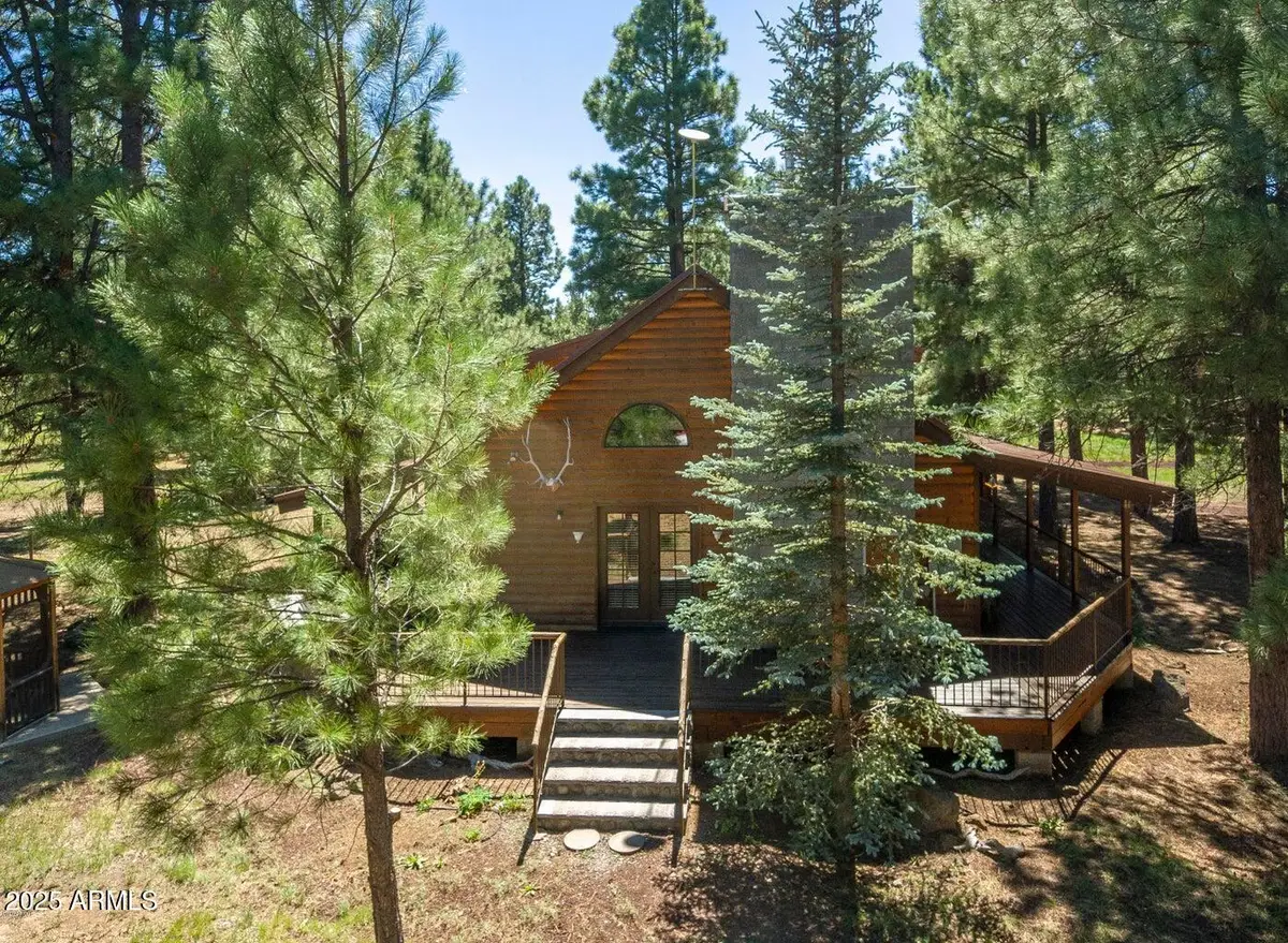 207 Blue Ridge Road, Mormon Lake, AZ 86038 - #1