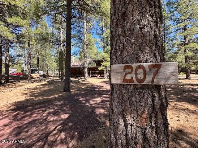 207 Blue Ridge Road, Mormon Lake, AZ 86038 - #2