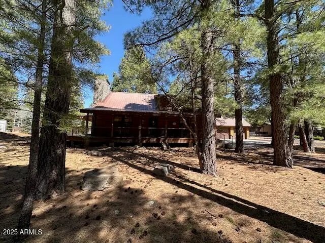 207 Blue Ridge Road, Mormon Lake, AZ 86038 - #3