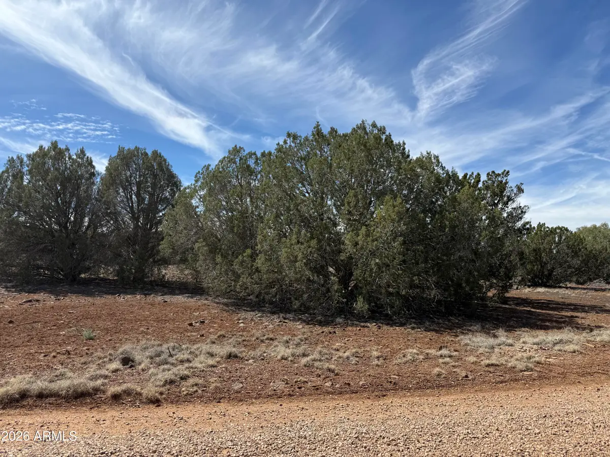 8389 Bear Meadow Drive #4, Show Low, AZ 85901 - #1