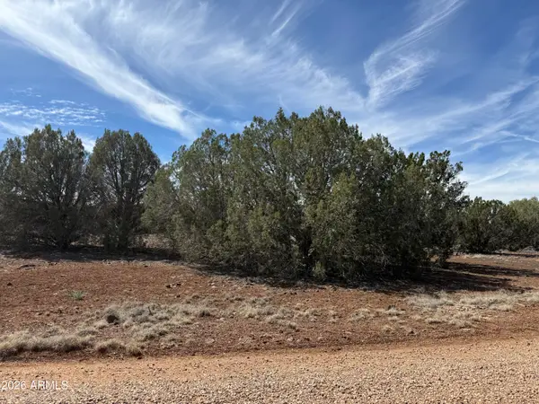 8389 Bear Meadow Drive #4, Show Low, AZ 85901