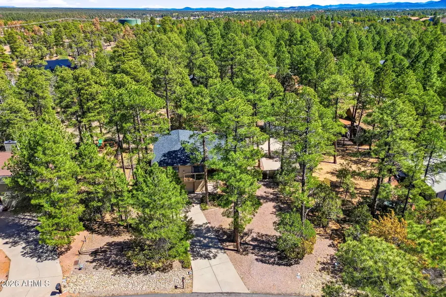 1621 N 39th Drive, Show Low, AZ 85901 - #3