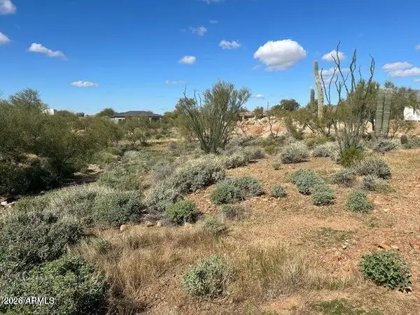 428 E Hemingway Lane, Phoenix, AZ 85086