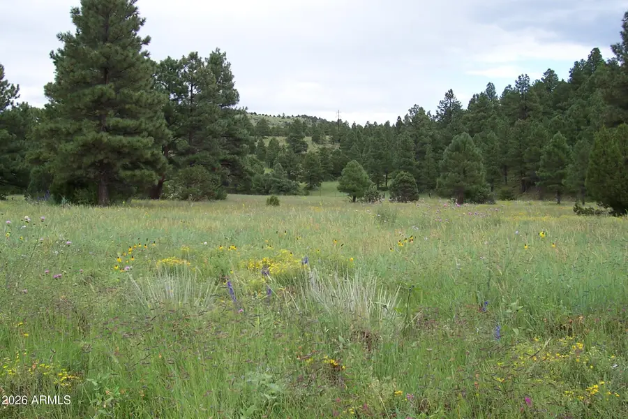 Lot 5 Red Cabin Ranch Unit Ii -- #5, Vernon, AZ 85940 - #3