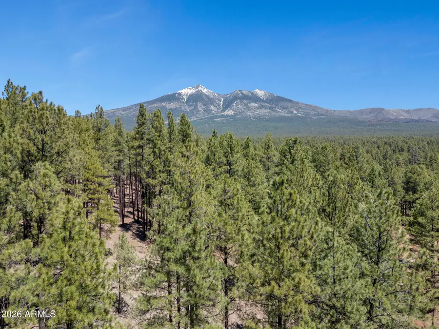 5216 Hidden Hollow Road, Flagstaff, AZ 86001 - #2