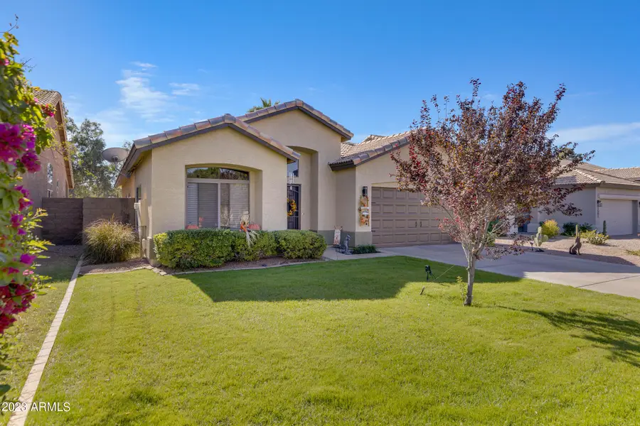 1511 E Black Diamond Drive, Gilbert, AZ 85296 - #2