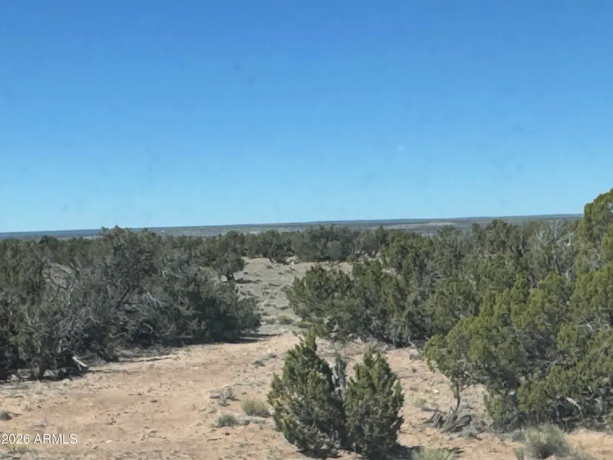 Lot 96 Bonito Valley Ranch -- #96, Saint Johns, AZ 85936 - #1