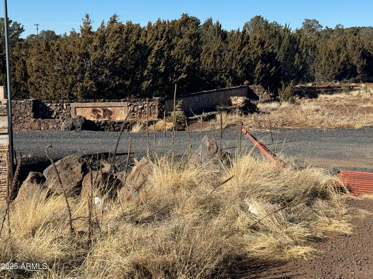 #5 Skyline Ranch -- #5, Vernon, AZ 85940 - #1