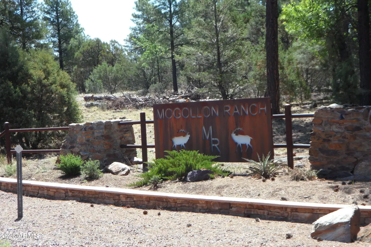 7856 Manzanita Court #119, Happy Jack, AZ 86024 - #1