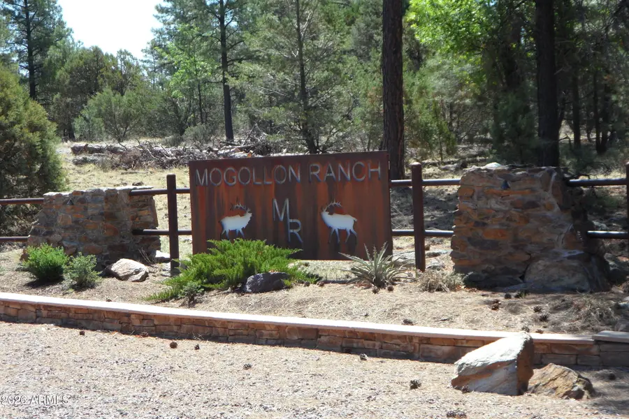 7856 Manzanita Court #119, Happy Jack, AZ 86024 - #2