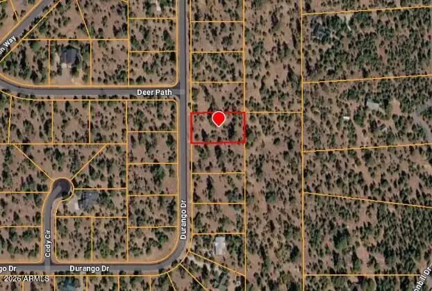 4076 Durango Drive, Happy Jack, AZ 86024 - #1