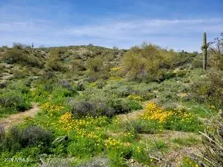 13318 N Goldfield Road #9, Fort Mcdowell, AZ 85264 - #2