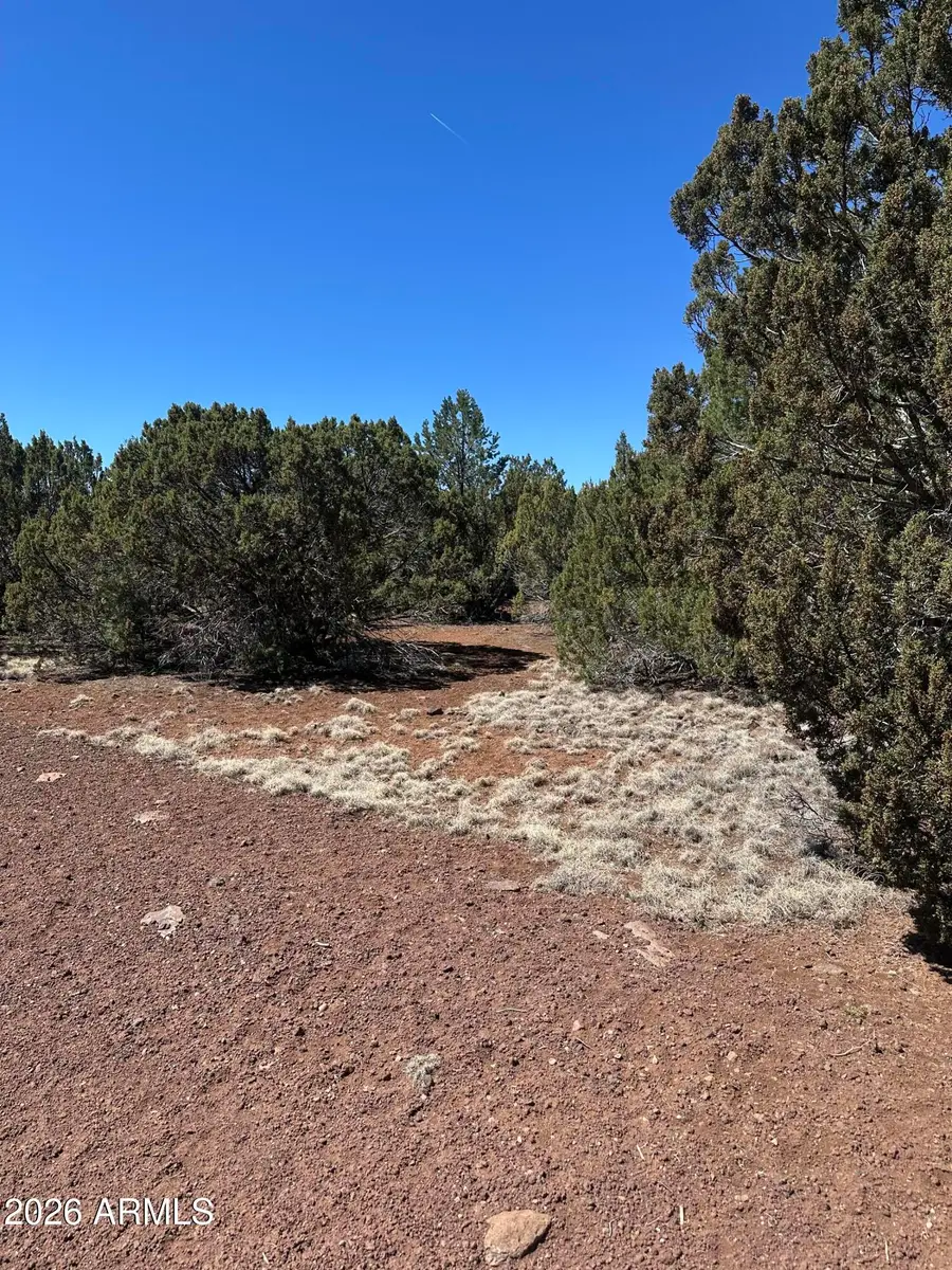 21 Acr 3193 Road #350, Vernon, AZ 85940 - #2
