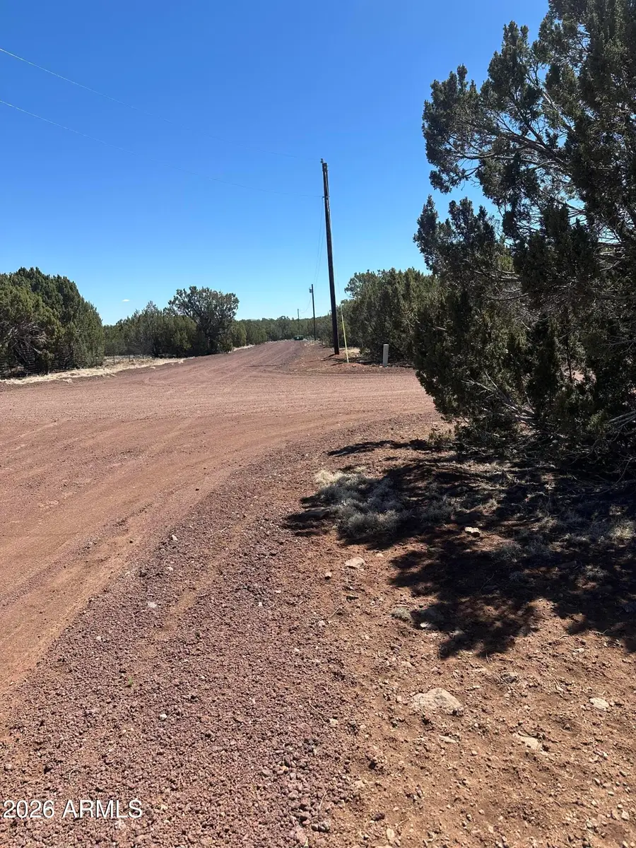 21 Acr 3193 Road #350, Vernon, AZ 85940 - #3