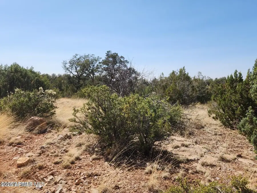 25753 W Eldorado Drive #200, Seligman, AZ 86337 - #2