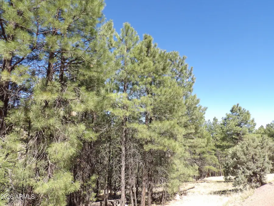 1601 Moqui Drive #77, Happy Jack, AZ 86024 - #2