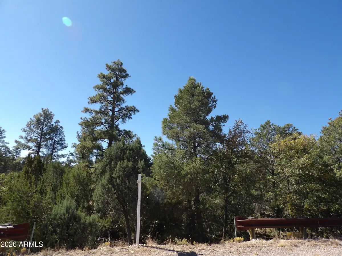 3642 Pinehurst Drive #169, Happy Jack, AZ 86024 - #1