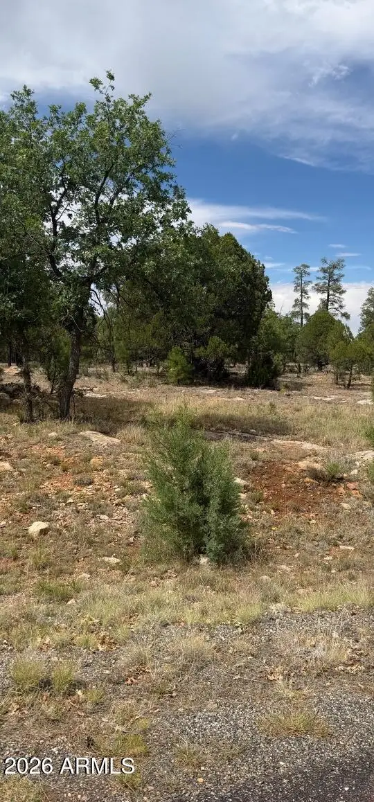 2989 Robin Lane, Happy Jack, AZ 86024