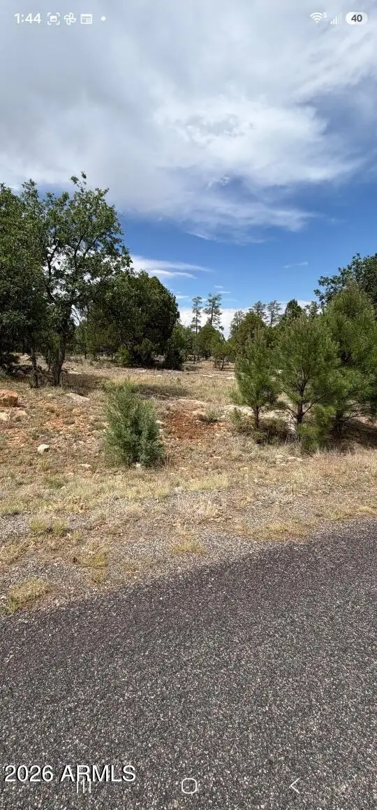 2989 Robin Lane, Happy Jack, AZ 86024 - #3