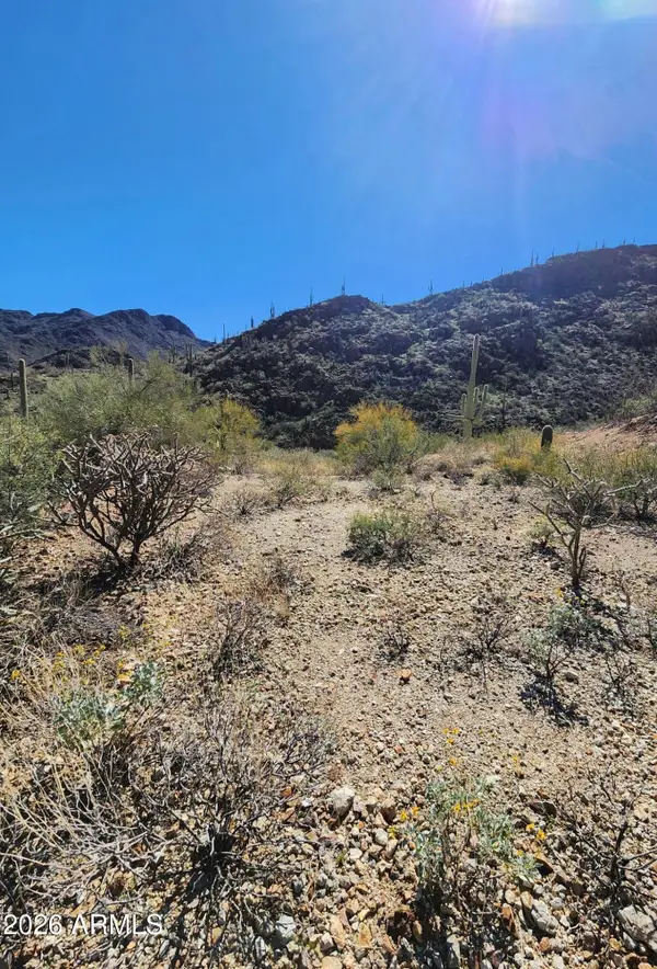 6400 W Lost Canyon Drive #00013, Tucson, AZ 85745