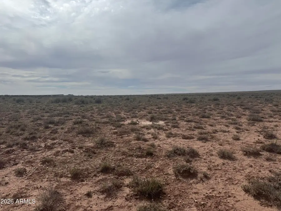 Tract 439 Painted Desert Ranches -- #439.440,441,442, Winslow Holbrook, AZ 85634 - #3