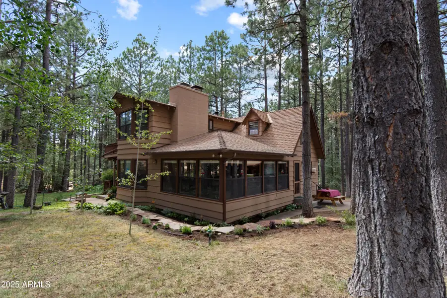 3910 Larson Loop, Forest Lakes, AZ 85931 - #2