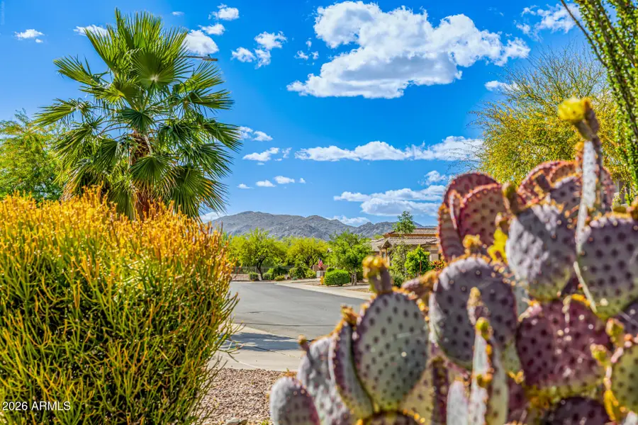 18505 W Port Au Prince Lane, Surprise, AZ 85388 - #3