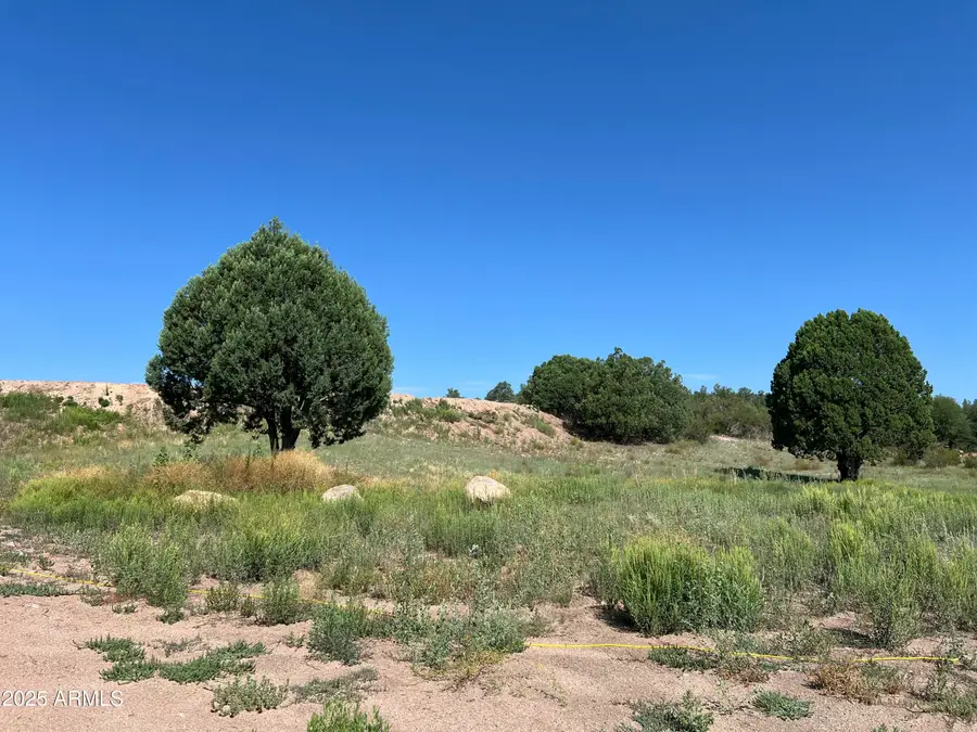 224 W Cooper Ridge #1, Young, AZ 85554 - #3