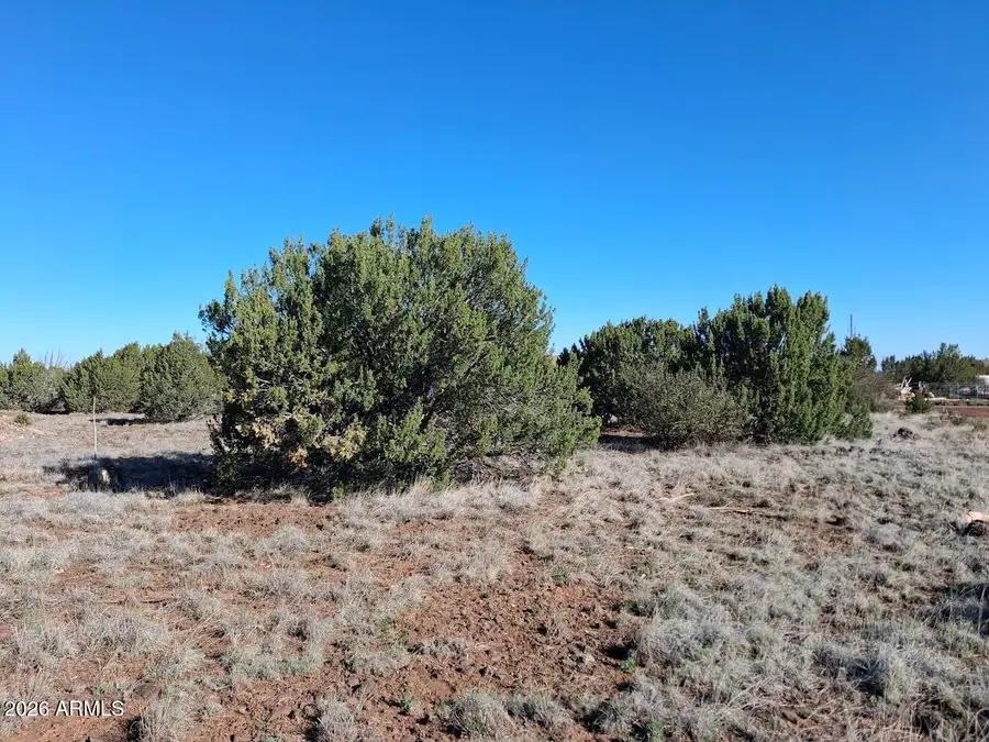 1298 Geronimo Drive, Show Low, AZ 85901 - #3