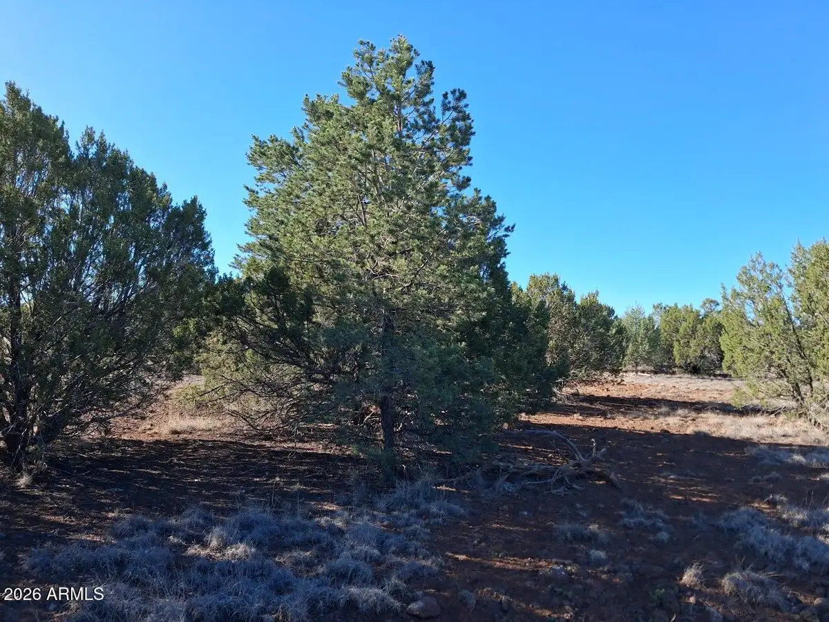 1294 Geronimo Drive, Show Low, AZ 85901 - #1