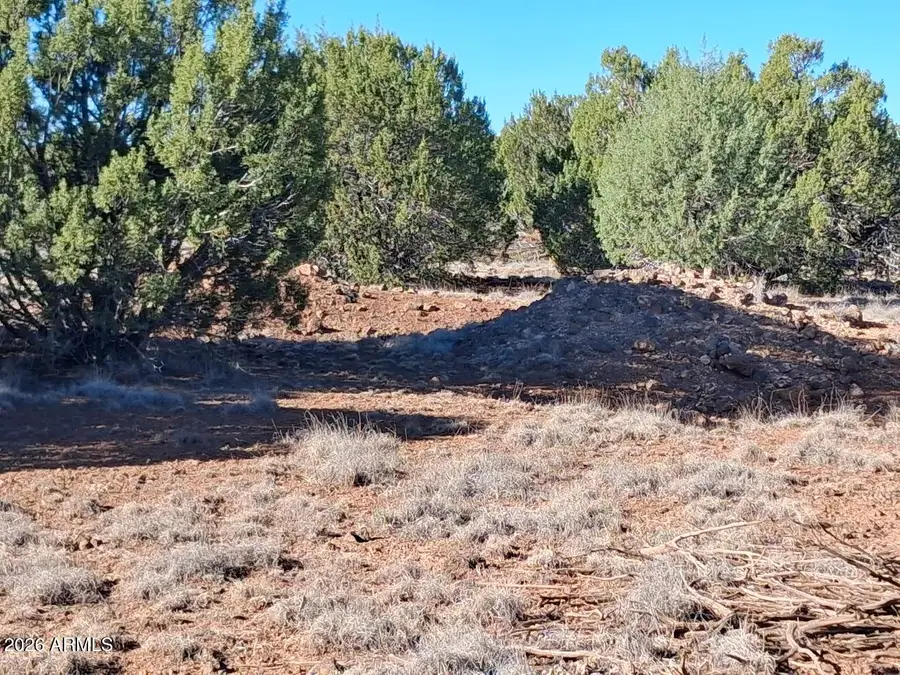 1294 Geronimo Drive, Show Low, AZ 85901 - #2