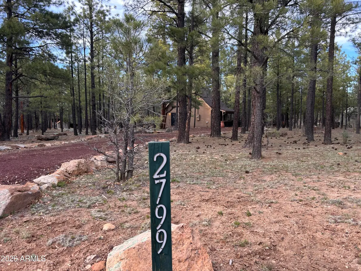 2799 Apache Drive, Happy Jack, AZ 86024 - #1