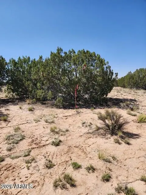 000 N Tbd Drive #180-A, Saint Johns, AZ 85936 - #3