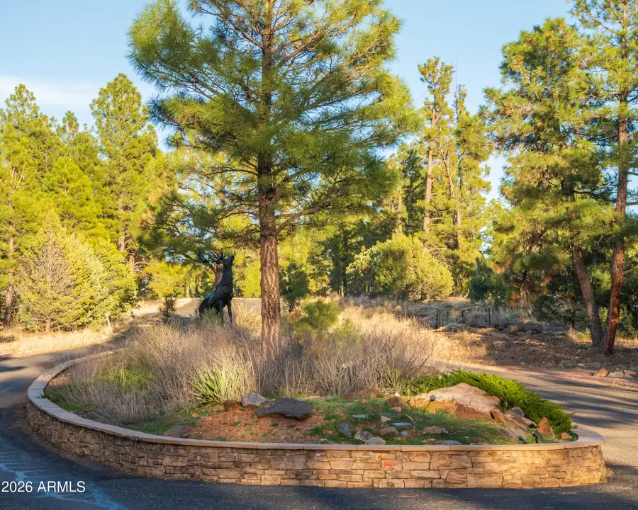 3633 Sunset Ridge Loop #166, Happy Jack, AZ 86024 - #2