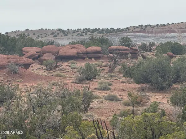 Lot 222 River Springs Ranch -- #222, St Johns, AZ 85936