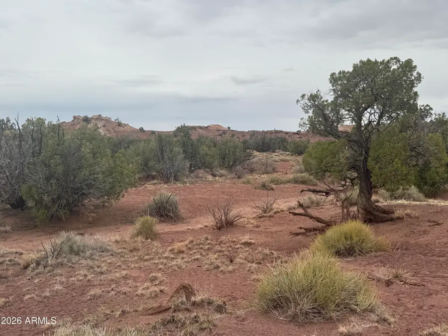 Lot 222 River Springs Ranch -- #222, Saint Johns, AZ 85936 - #2