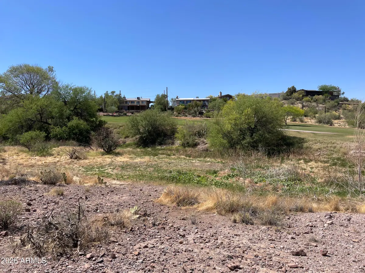 0X N Elephant Butte ''3,4,5'' Road, Queen Valley, AZ 85118 - #1