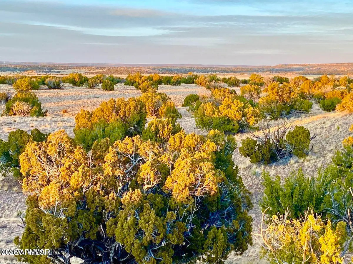 TBD Co Rd N6659 36.25 Acres --, Saint Johns, AZ 85936 - #1