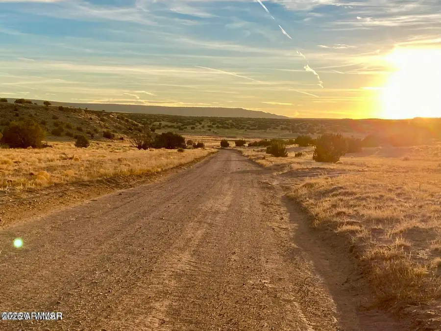 TBD Co Rd N6659 36.25 Acres --, Saint Johns, AZ 85936 - #3