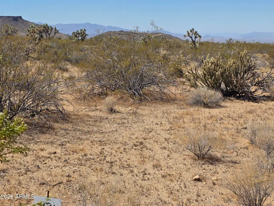 190 S Mary Place #11, Yucca, AZ 86438 - #2