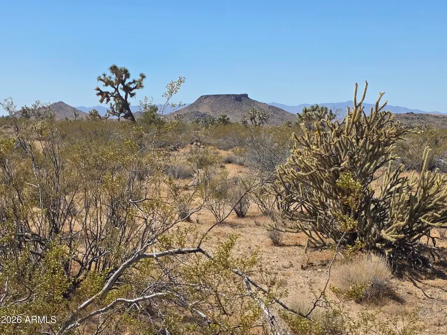 190 S Mary Place #11, Yucca, AZ 86438 - #3