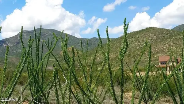 Lot 20 W Cameo Street #20, Bisbee, AZ 85603