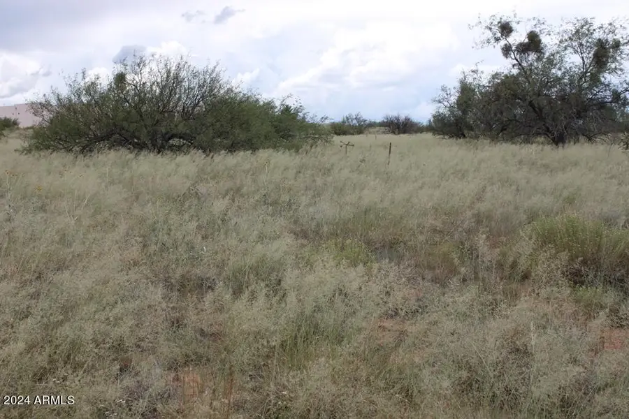 206 S Coatimundi Court #15, Hereford, AZ 85615 - #2