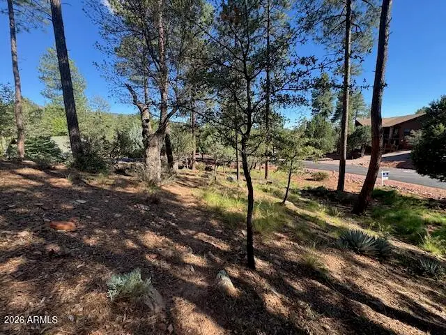 lot 33 Sage Court #33, Pine, AZ 85544 - #1