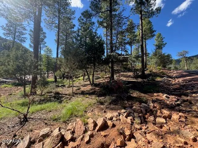 lot 33 Sage Court #33, Pine, AZ 85544 - #2