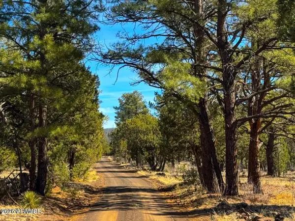 11 Co Rd N3262 5 Acres --, Vernon, AZ 85940