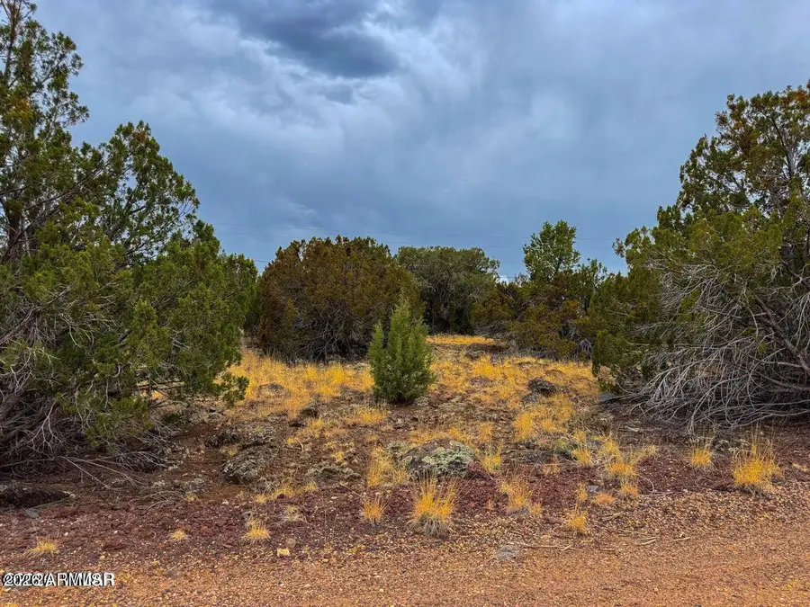 8423 Apache Drive, Show Low, AZ 85901 - #2